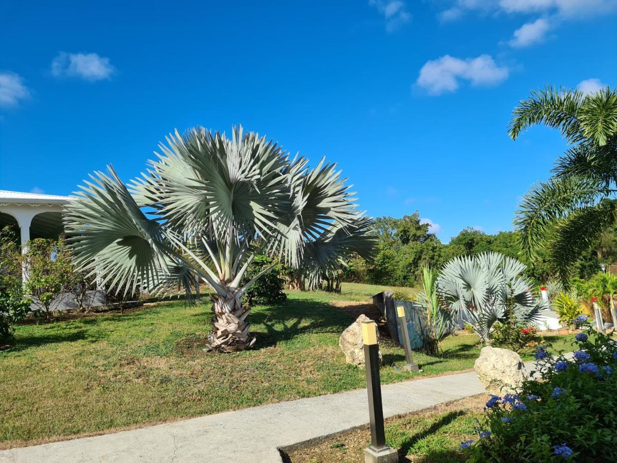 Les Villas De Boisvin Le Moule Luaran gambar