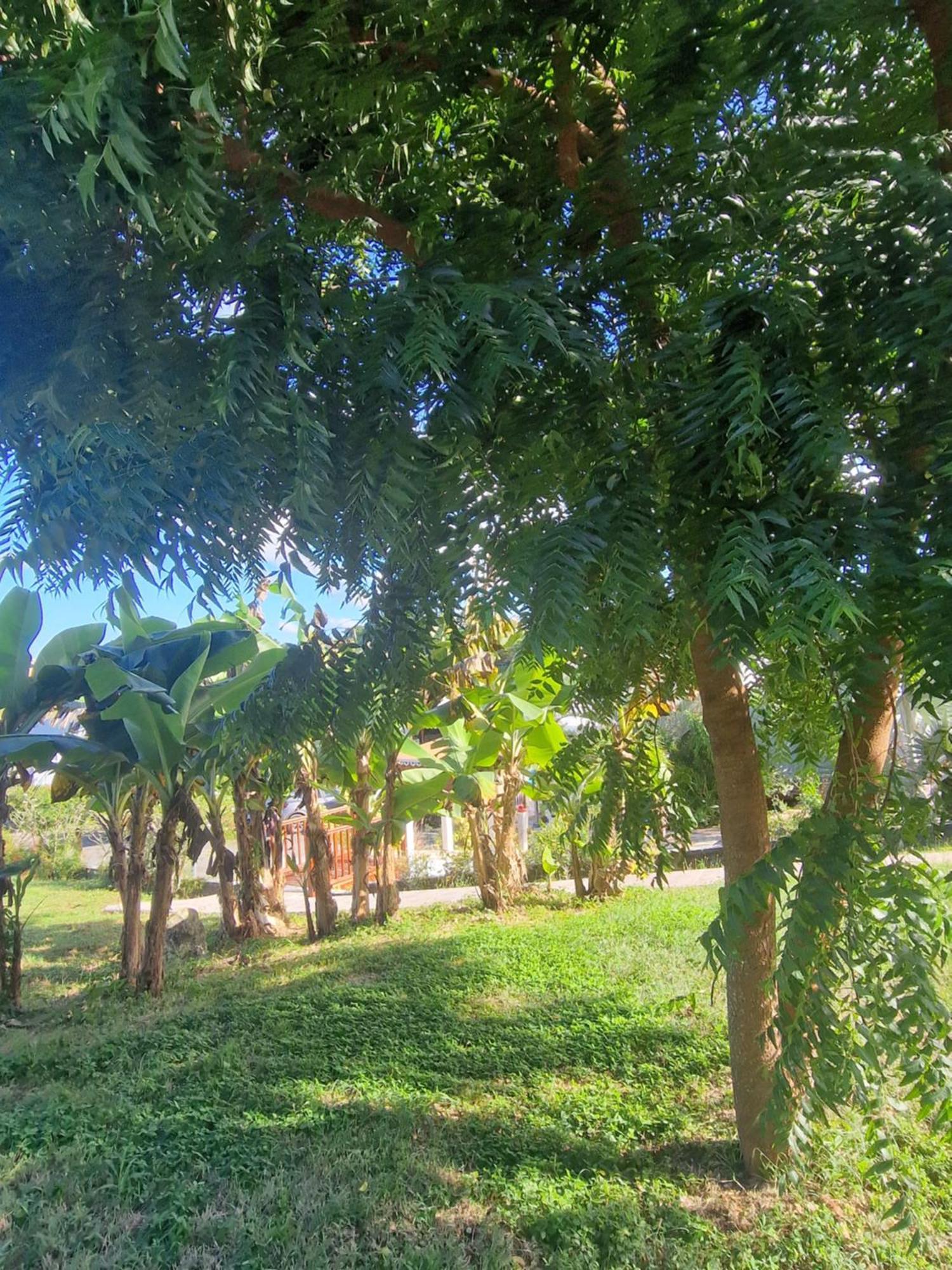 Les Villas De Boisvin Le Moule Luaran gambar